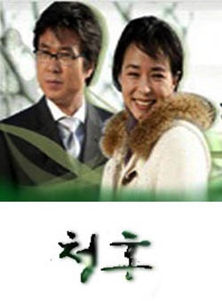 韩剧求婚国语版